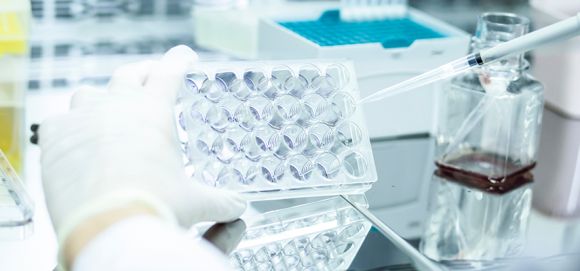 proyecto-de-investigacion-de-la-EICT.jpg