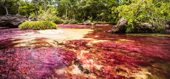 ruta-pais-caño.cristales