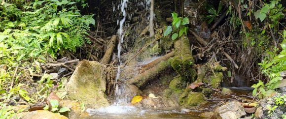 img-dia-mundial-del-agua.jpg