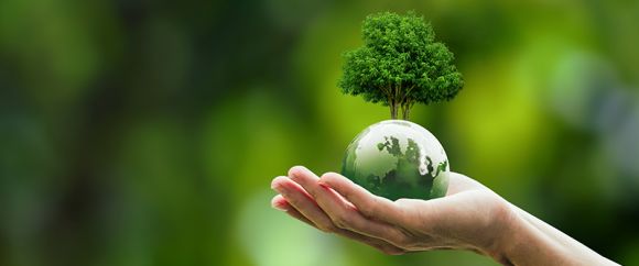 El cambio climático podría convertirse en el principal impulsor de la disminución de la biodiversidad
