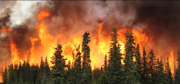 Estudio revela aumento global de los incendios forestales debido al cambio climático, a pesar de las intervenciones humanas