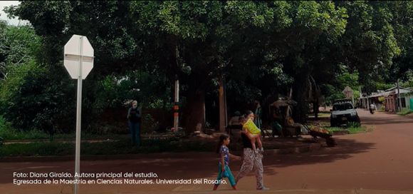 Los bosques urbanos reducen hasta 8.7°C el calor extremo en ciudades más calurosas de Colombia