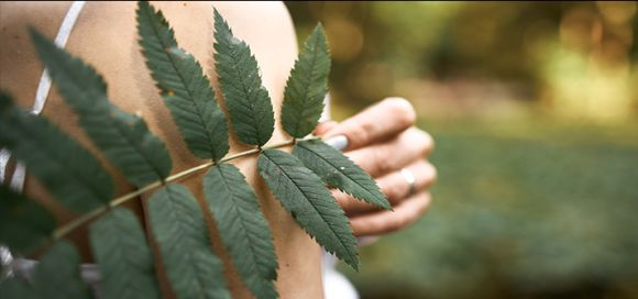 Un cambio en el paradigma: entre la medicina alopática y la medicina ayurveda