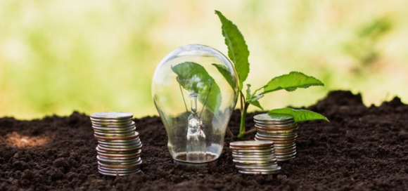 Inversión ambiental y productividad total de los factores: El caso de la industria manufacturera en Colombia 2011 – 2019
