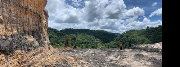 Descubren los primeros insectos fósiles preservados en ámbar del Cretácico de Suramérica 