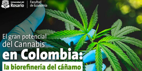 El gran potencial del Cannabis en Colombia: la biorefinería del cáñamo