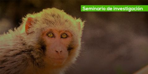 Genómica de poblaciones de los macacos Rhesus salvajes de la China img evento banner