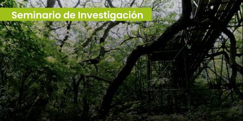 web