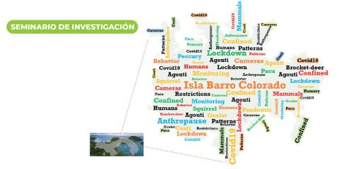 seminario-de-investigacion.jpg