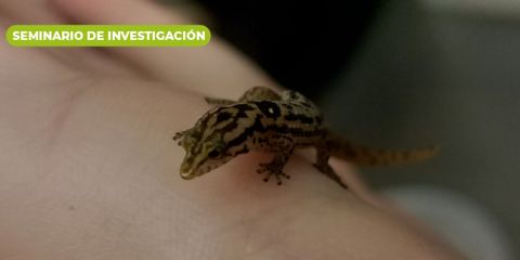 seminario de investigación