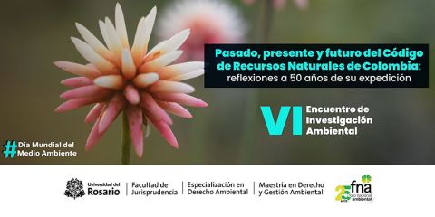 VI Encuentro de investigación ambiental