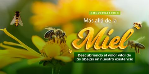 Más Allá de la Miel: Descubriendo el Valor Vital de las Abejas en Nuestra Existencia