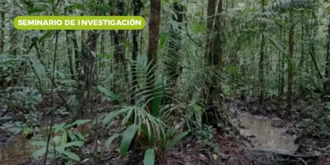 microbiota-de-los-árboles-tropicales