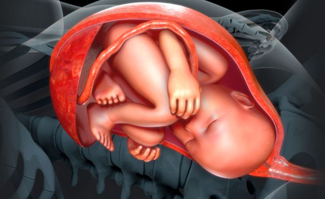 Especialización en Medicina Materno Fetal