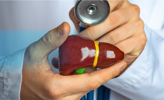 Hepatologia