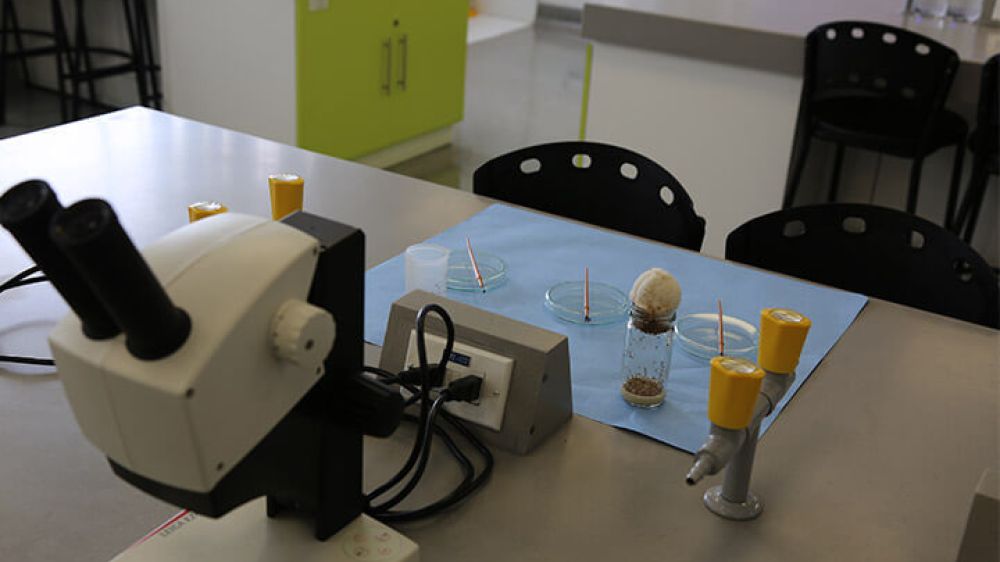 laboratorio de ciencias naturales