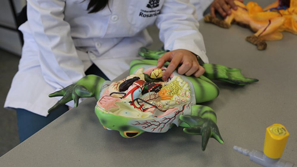 laboratorio de ciencias naturales