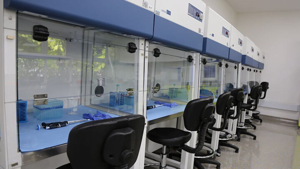 Laboratorio de Ciencias Naturales III