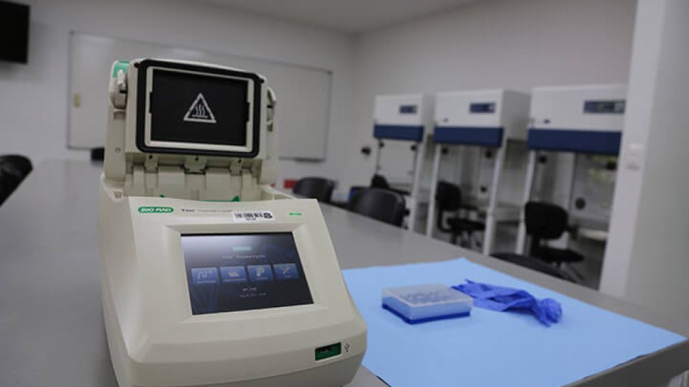 Laboratorio de Ciencias Naturales III
