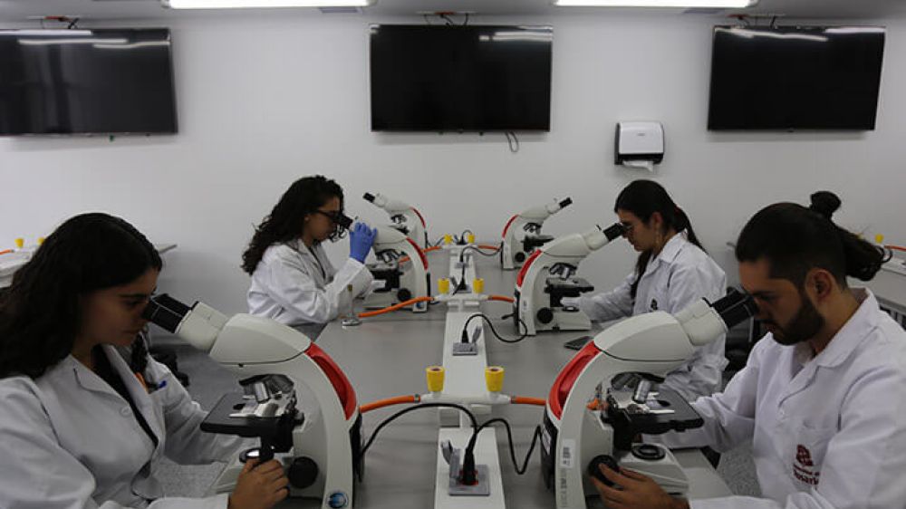 Laboratorio de Microbiología