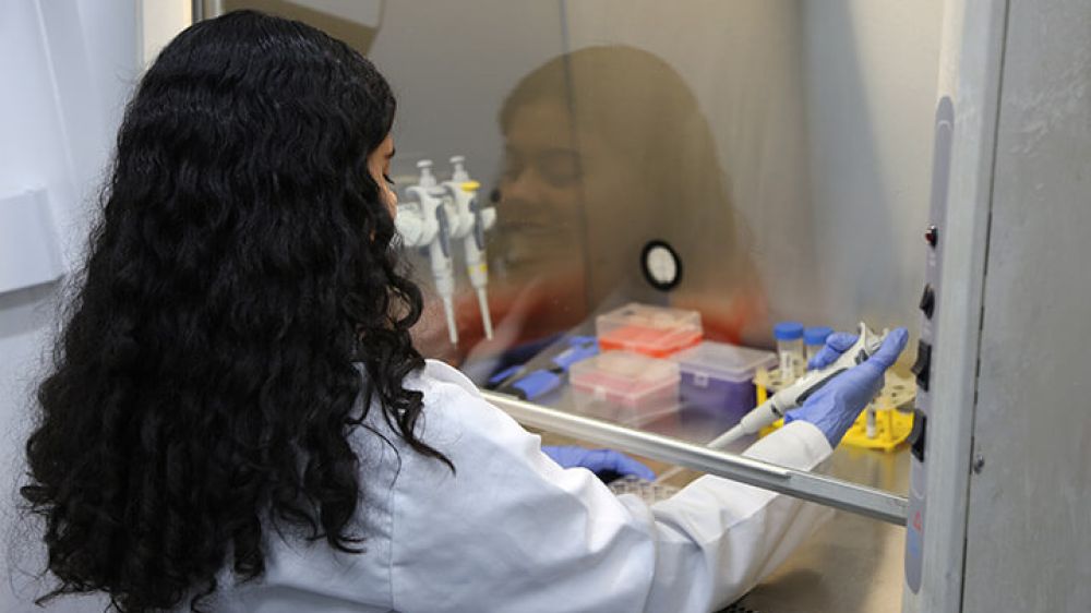 Laboratorio de Microbiología