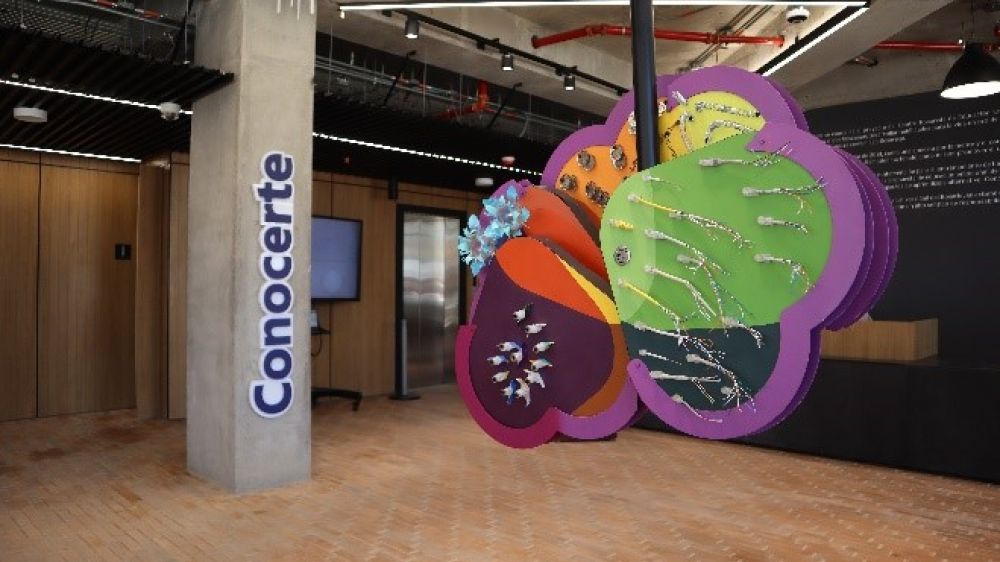 conocerte
