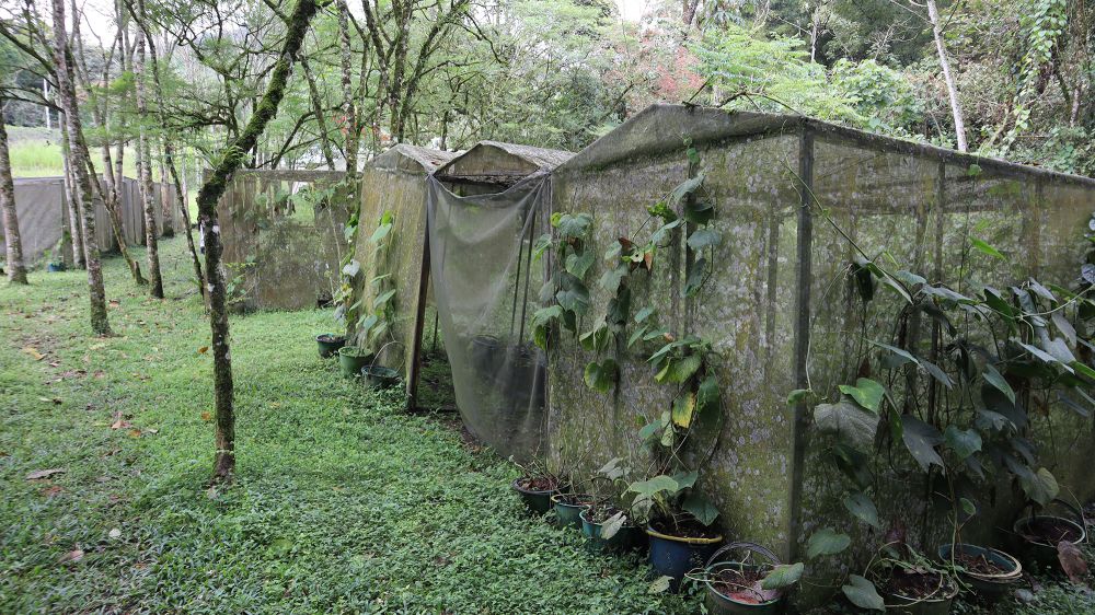 estacion-experimental-de-campo-10