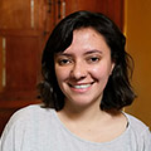 Diana Milena Samaniego Serrato