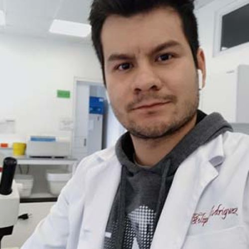 JUAN FELIPE RODRÍGUEZ HERNANDEZ