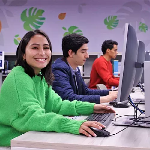 Perfil de ingreso estudiantes