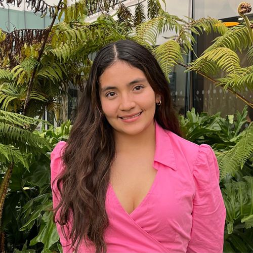 Karen Andrea Herrera Barrera 