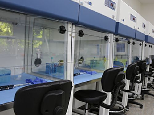 laboratorio de ciencias naturales iii