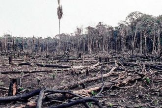 Chispas,  cambio  climático y  actividades  humanas